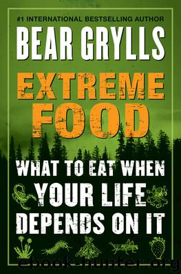 Extreme Food by Bear Grylls