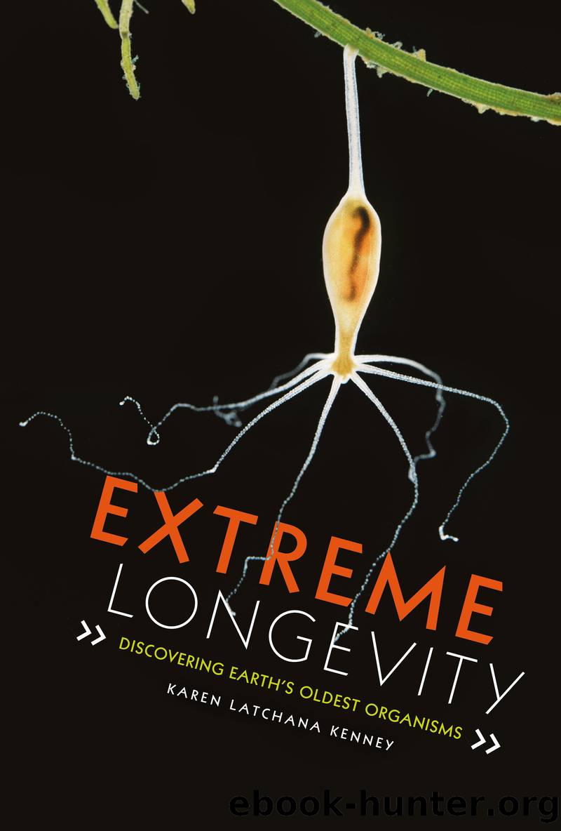 Extreme Longevity: Discovering Earth's Oldest Organisms by Karen Latchana Kenney