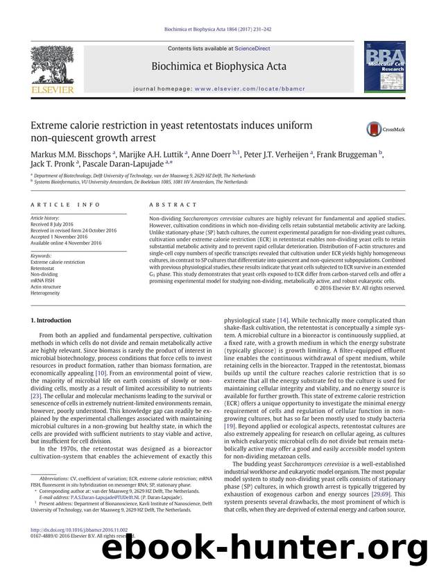 Extreme calorie restriction in yeast retentostats induces uniform non-quiescent growth arrest by unknow