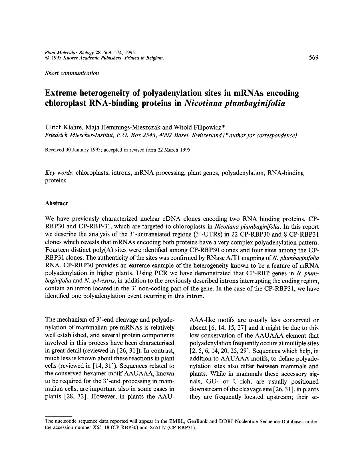 Extreme heterogeneity of polyadenylation sites in mRNAs encoding chloroplast RNA-binding proteins in <Emphasis Type="Italic">Nicotiana plumbaginifolia <Emphasis> by Unknown