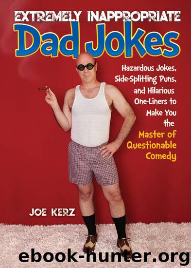 Extremely Inappropriate Dad Jokes by Joe Kerz