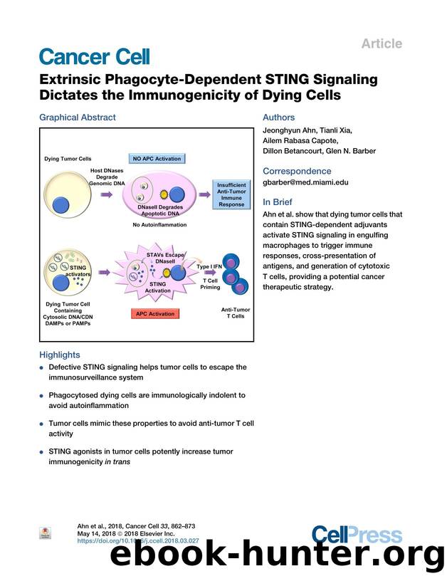 Extrinsic Phagocyte-Dependent STING Signaling Dictates the Immunogenicity of Dying Cells by Jeonghyun Ahn & Tianli Xia & Ailem Rabasa Capote & Dillon Betancourt & Glen N. Barber