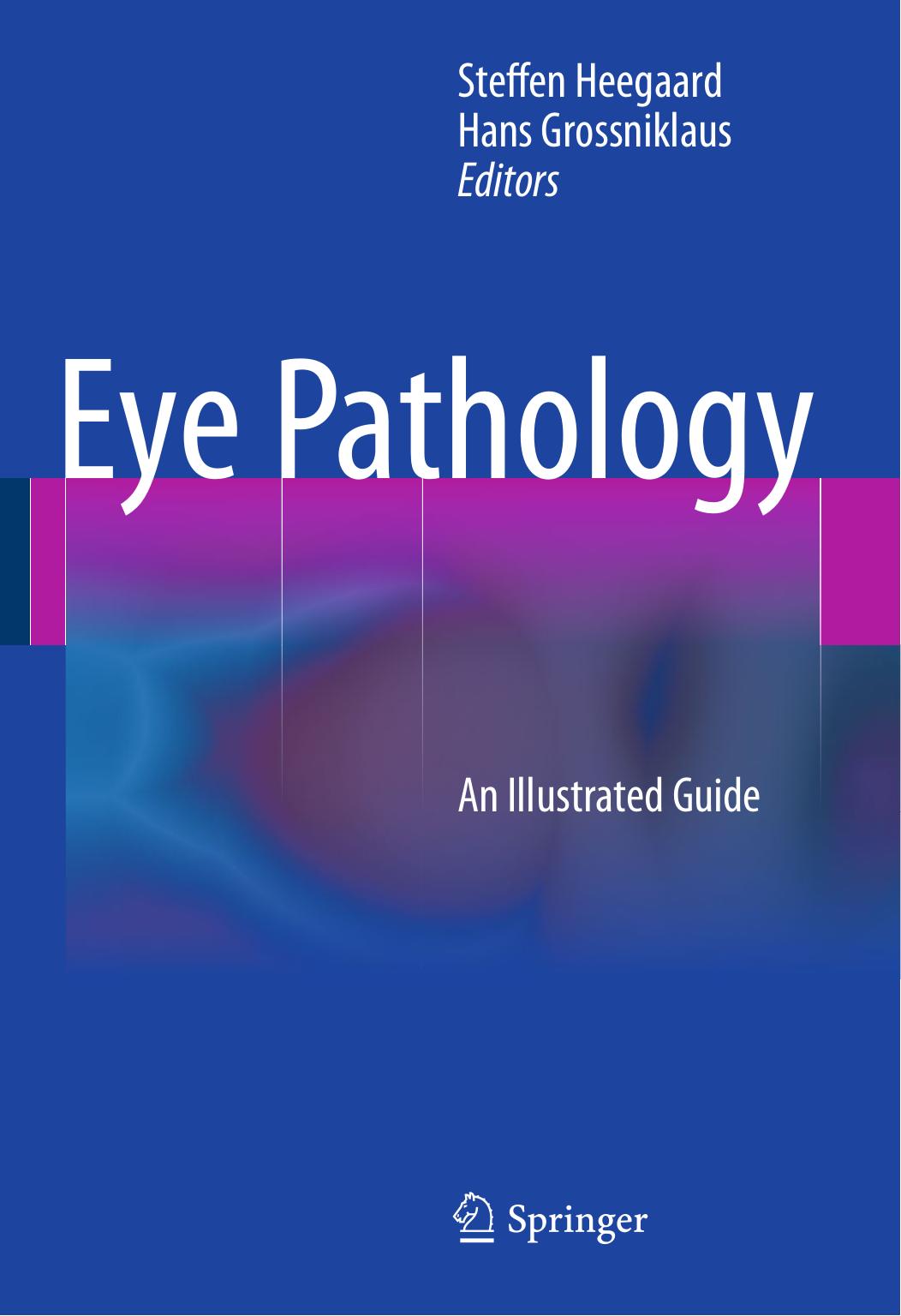 Eye Pathology: An Illustrated Guide by Steffen Heegaard Hans Grossniklaus (eds.)