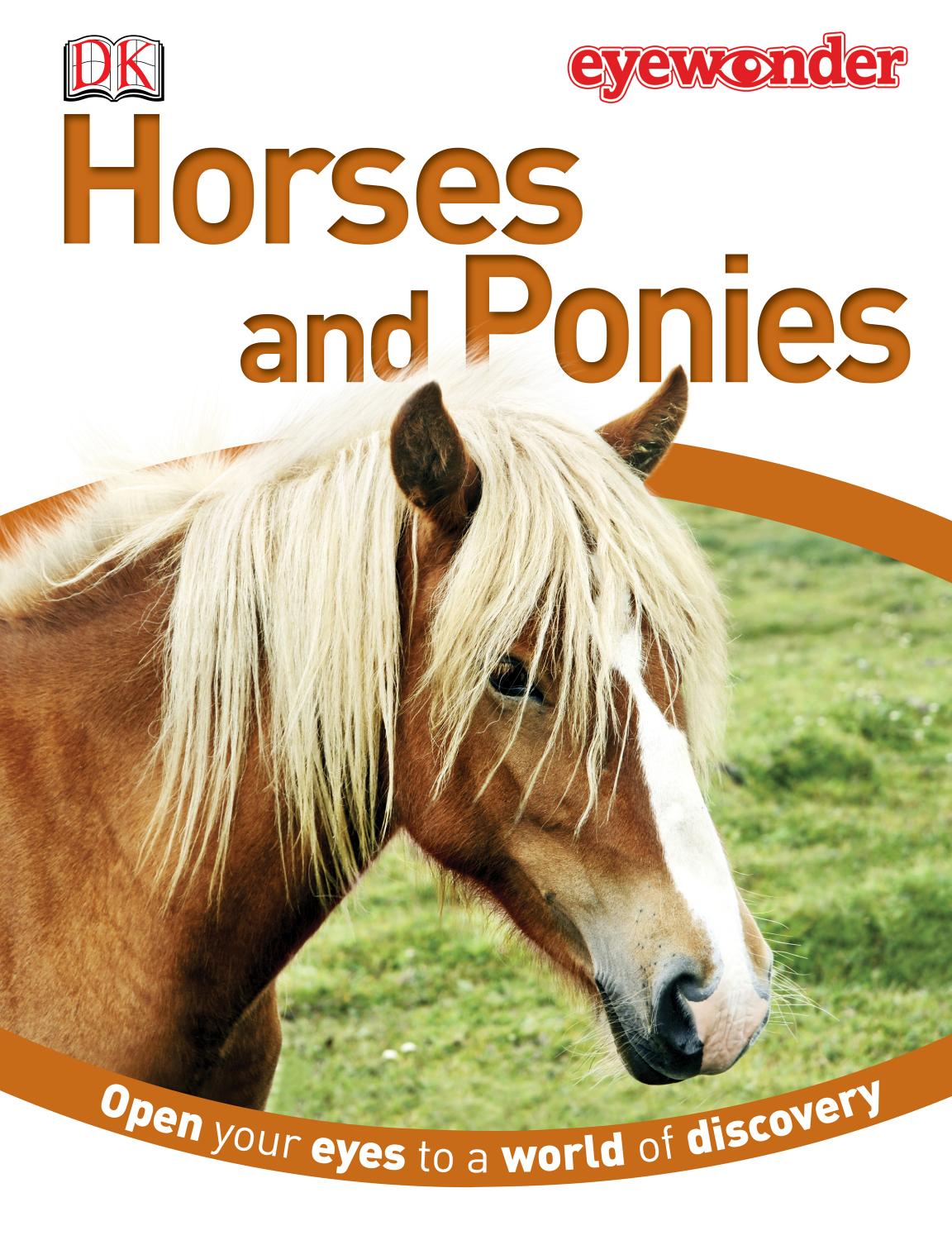 Eye Wonder: Horses and Ponies by DK