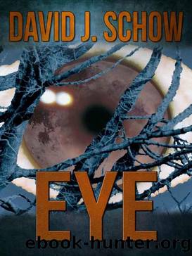 Eye by David J Schow