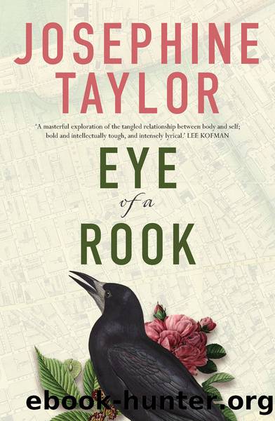 Eye of a Rook by Josephine Taylor