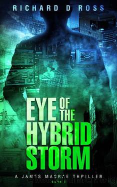 Eye of the Hybrid Storm: A James Macrae Thriller - Book 2 (James Macrae Thriller Series) by Richard D Ross
