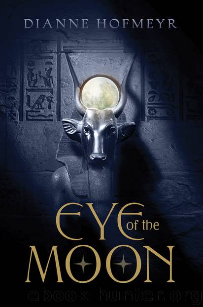 Eye of the Moon by Dianne Hofmeyr