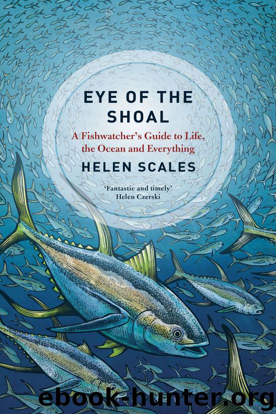 Eye of the Shoal by Helen Scales