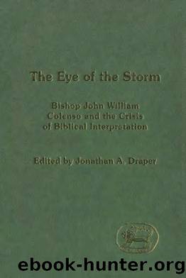 Eye of the Storm : Bishop John William Colenso and the Crisis of Biblical Inspiration by Draper Jonathan A