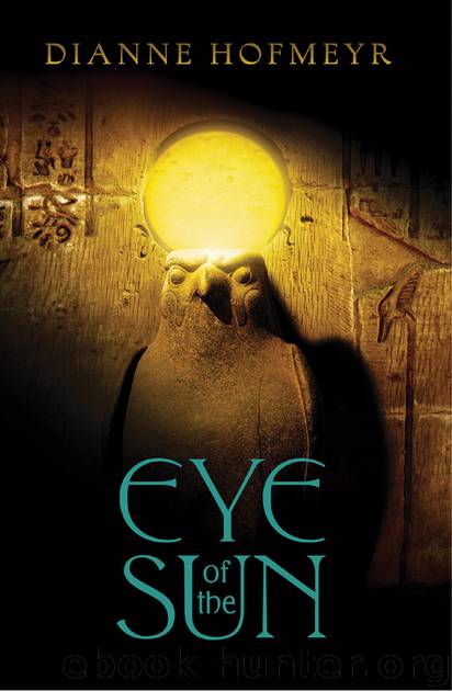Eye of the Sun by Dianne Hofmeyr