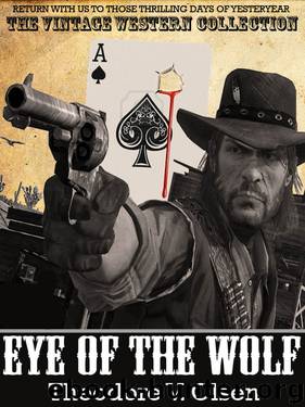 Eye of the Wolf by Theodore V. Olsen