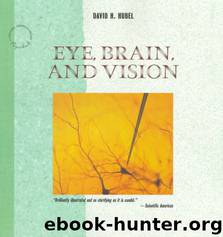 Eye, Brain, and Vision by David H. Hubel