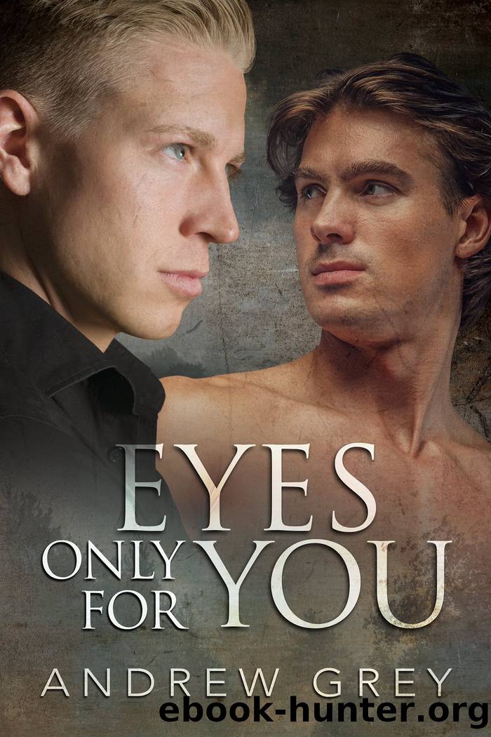 Eyes Only for You by Andrew Grey