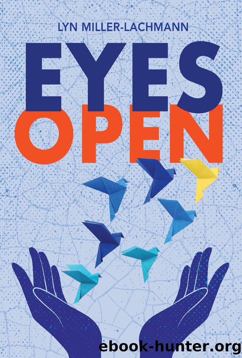 Eyes Open by Lyn Miller-Lachmann