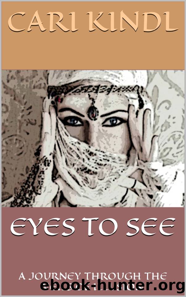 Eyes To See: A Journey Through the Veils of Illusion by Cari Kindl