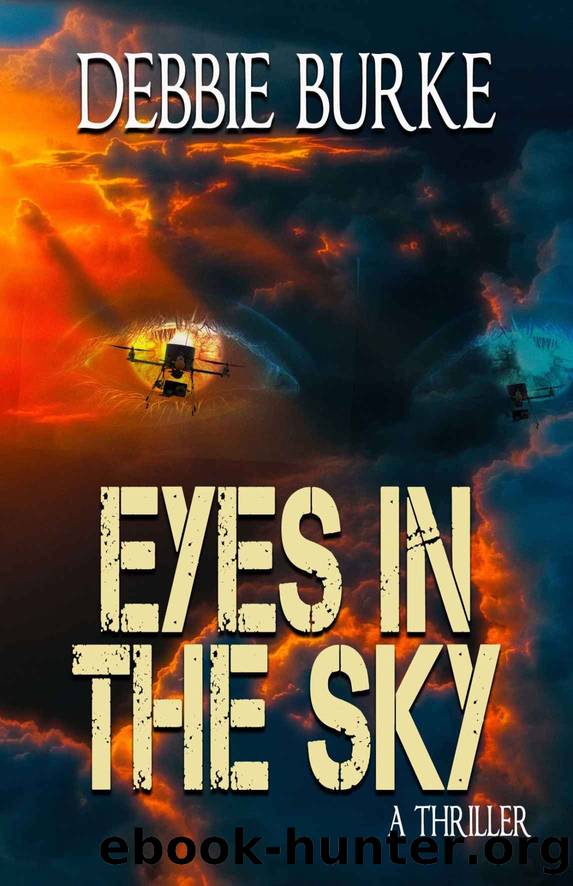 Eyes in the Sky by Debbie Burke