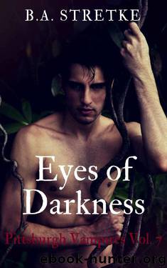 Eyes of Darkness: Pittsburgh Vampires Vol.7 by B.A. Stretke