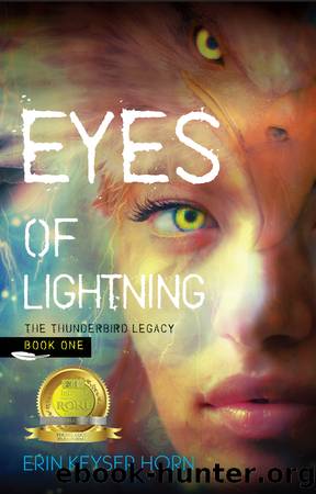 Eyes of Lightning by Erin Keyser Horn