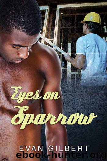 Eyes on Sparrow by Evan Gilbert