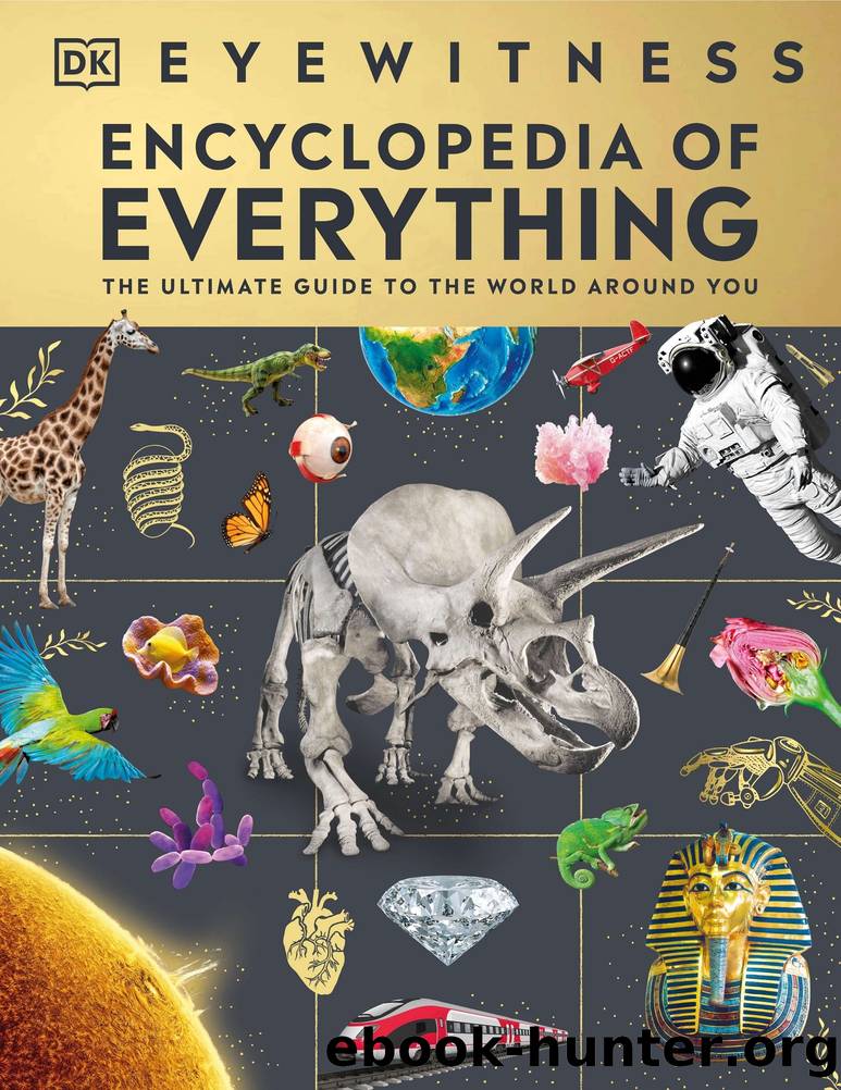 Eyewitness Encyclopedia of Everything: The Ultimate Guide to the World Around You by Dorling Kindersley