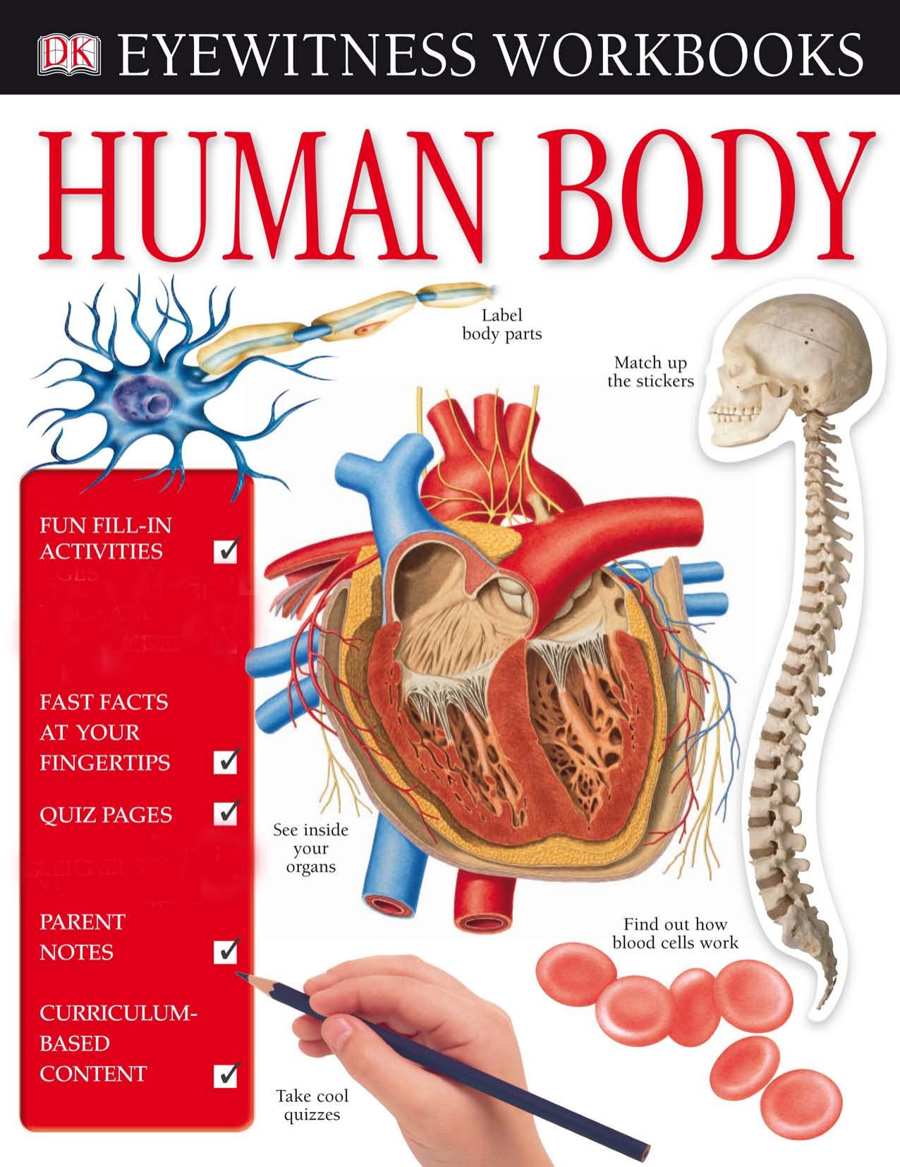 Eyewitness Workbooks Human Body by DK Publishing