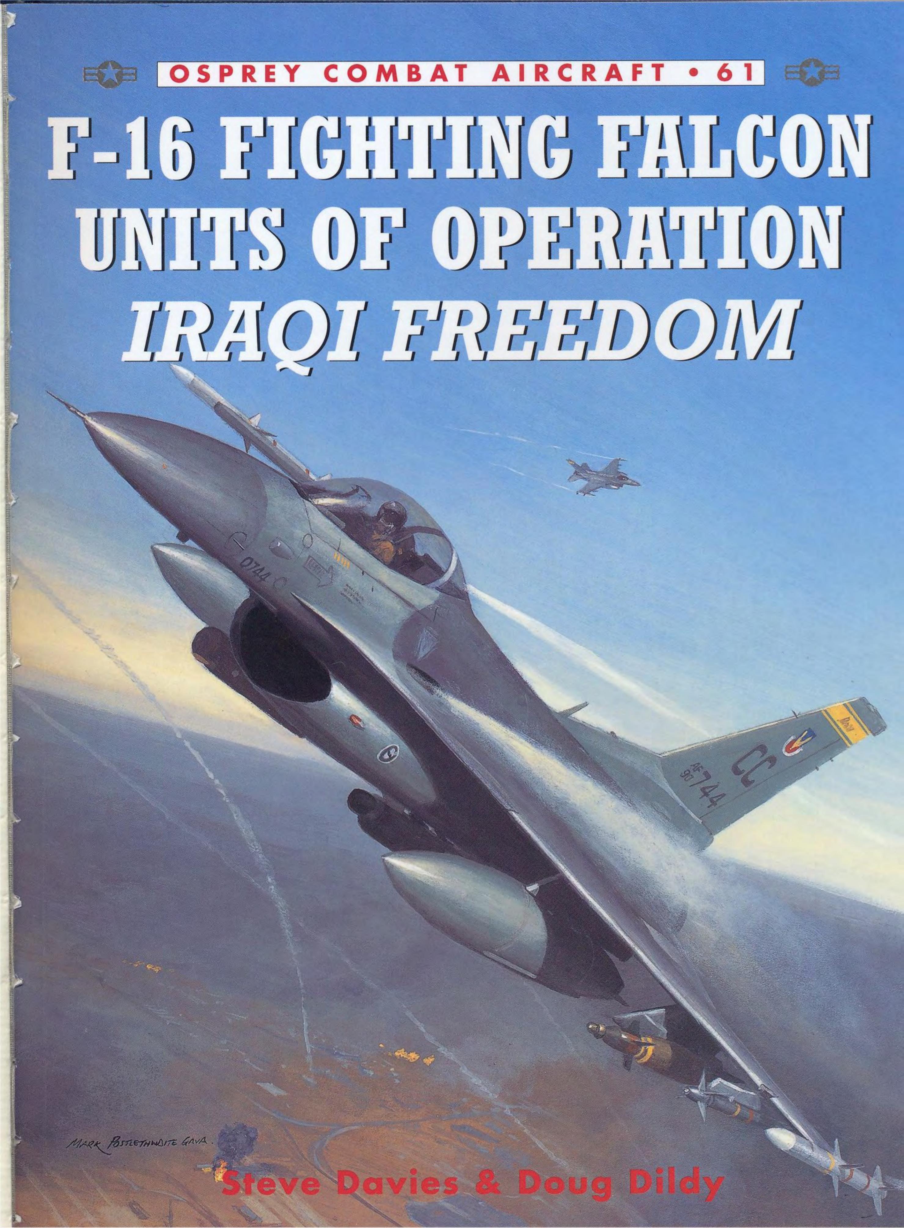 F-16 Fighting Falcon Units Of Operation Iraqi Freedom by Steve Davies Doug Dildy Chris Davey