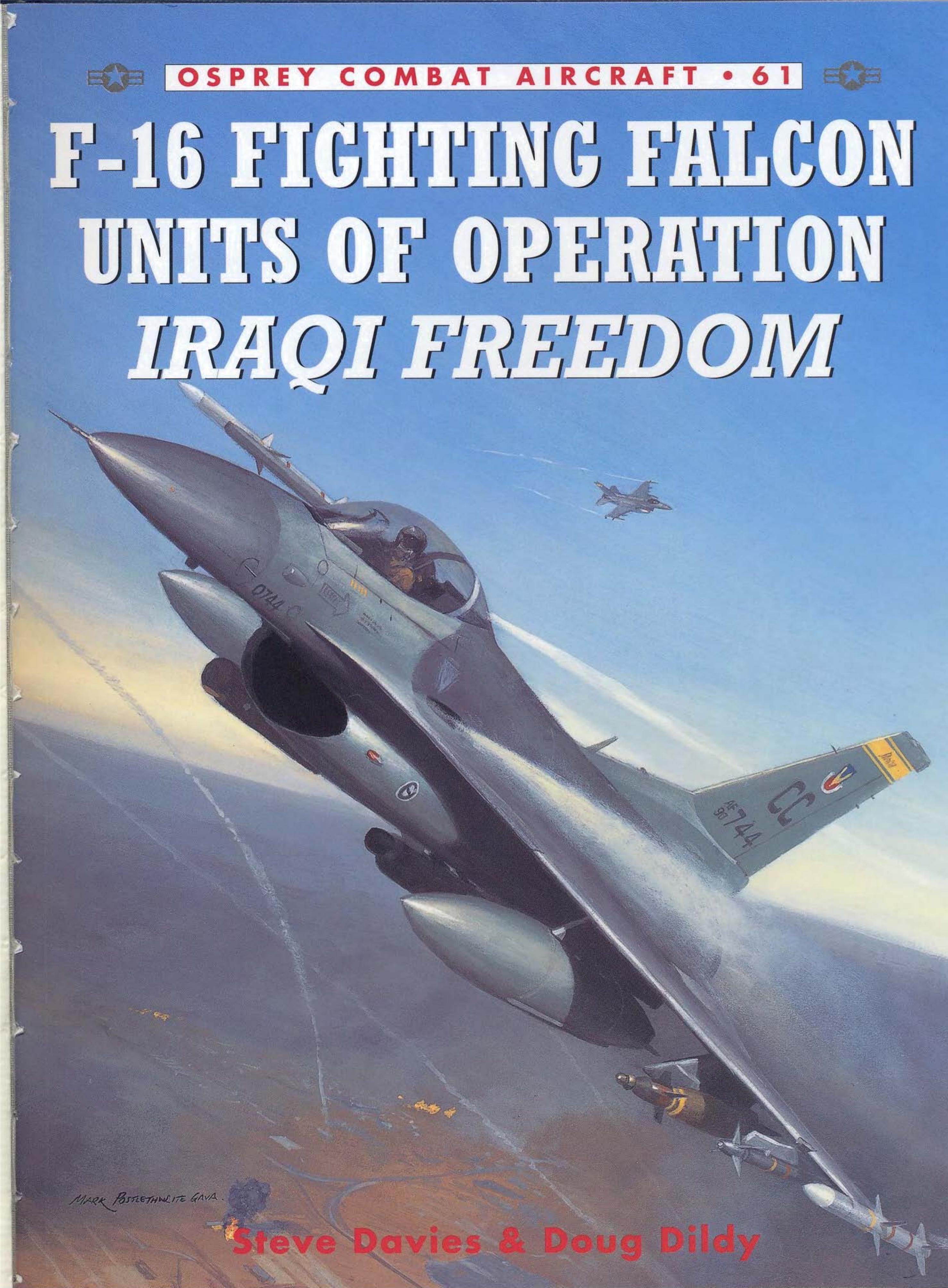 F-16 Fighting Falcon Units of Operation Iraqi Freedom by Steve Davies; Douglas C. Dildy Chris Davey