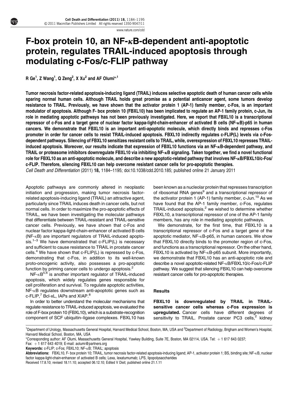 F-box protein 10, an NF-&kappa;B-dependent anti-apoptotic protein, regulates TRAIL-induced apoptosis through modulating c-Fos&sol;c-FLIP pathway by R Ge & Z Wang & Q Zeng & X Xu & A F Olumi