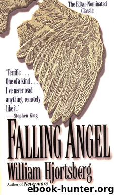 FALLING ANGEL by William Hjortsberg