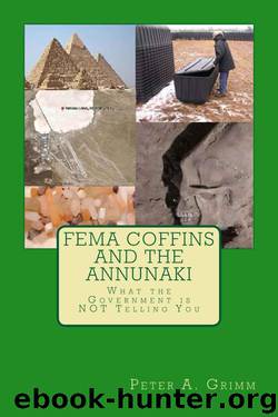 FEMA Coffins and the Annunaki: What the Government Is NOT Telling You by Peter A. Grimm