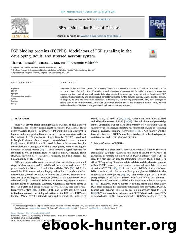 FGF binding proteins (FGFBPs)_ Modulators of FGF signaling in the developing, adult, and stressed nervous system by Thomas Taetzsch & Vanessa L. Brayman & Gregorio Valdez