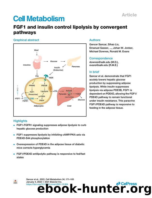 FGF1 and insulin control lipolysis by convergent pathways by unknow