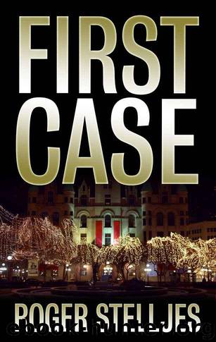 FIRST CASE - Novella (McRyan Mystery Series Prequel) by Stelljes Roger