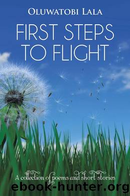 FIRST STEPS TO FLIGHT by Oluwatobi Lala