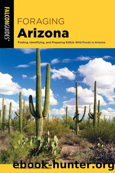 FORAGING ARIZONA by Christopher Nyerges