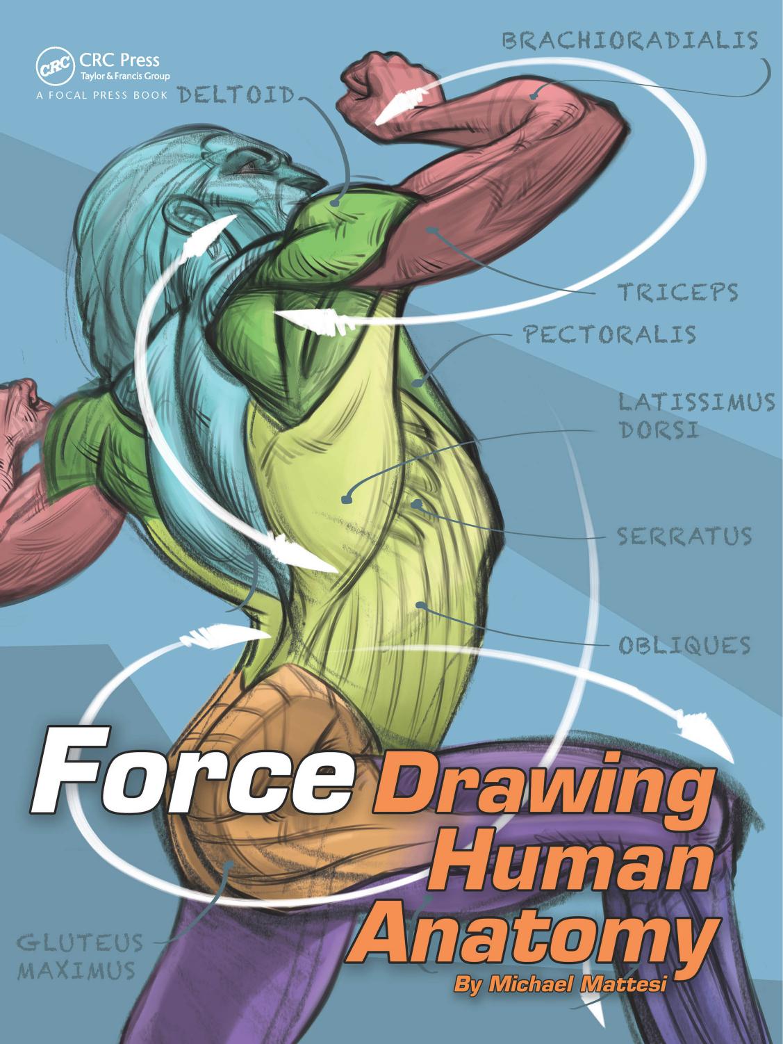 FORCE - Drawing Human Anatomy by 1E (2016)