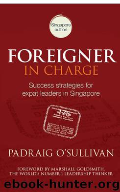 FOREIGNER IN CHARGE by PADRAIG O’SULLIVAN