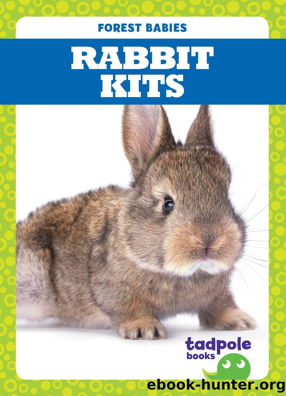 FOREST BABIES RABBIT KITS by Genevieve Nilsen