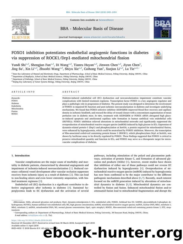 FOXO1 inhibition potentiates endothelial angiogenic functions in diabetes via suppression of ROCK1Drp1-mediated mitochondrial fission by unknow