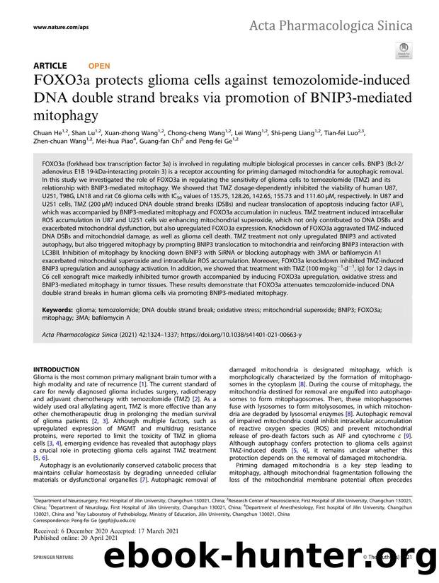 FOXO3a protects glioma cells against temozolomide-induced DNA double strand breaks via promotion of BNIP3-mediated mitophagy by unknow