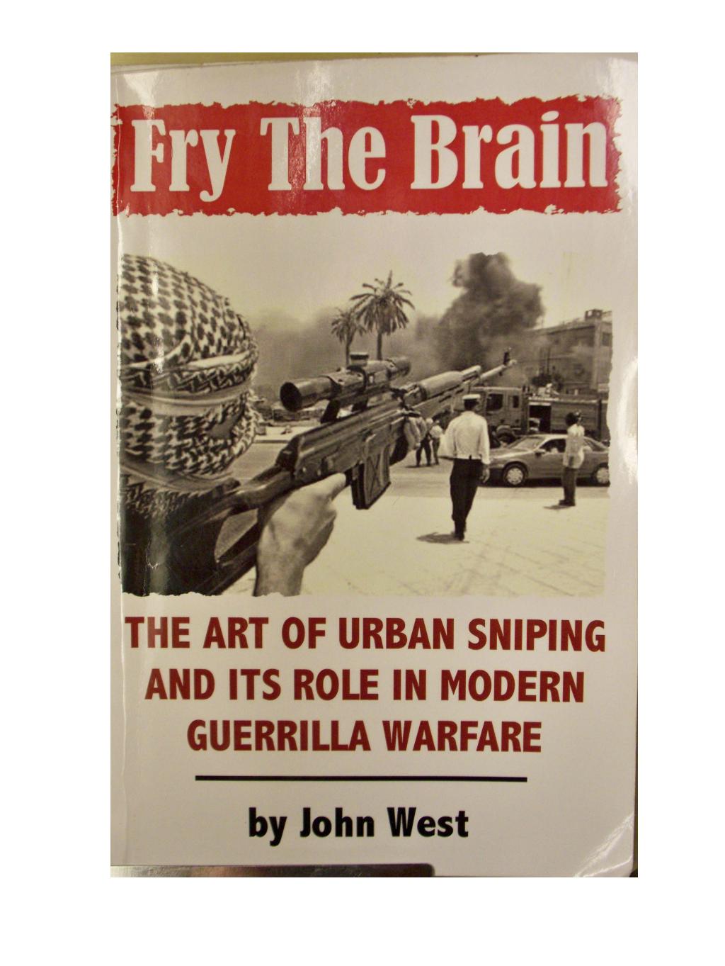 FRY THE BRAIN by The Art of Urban Sniping