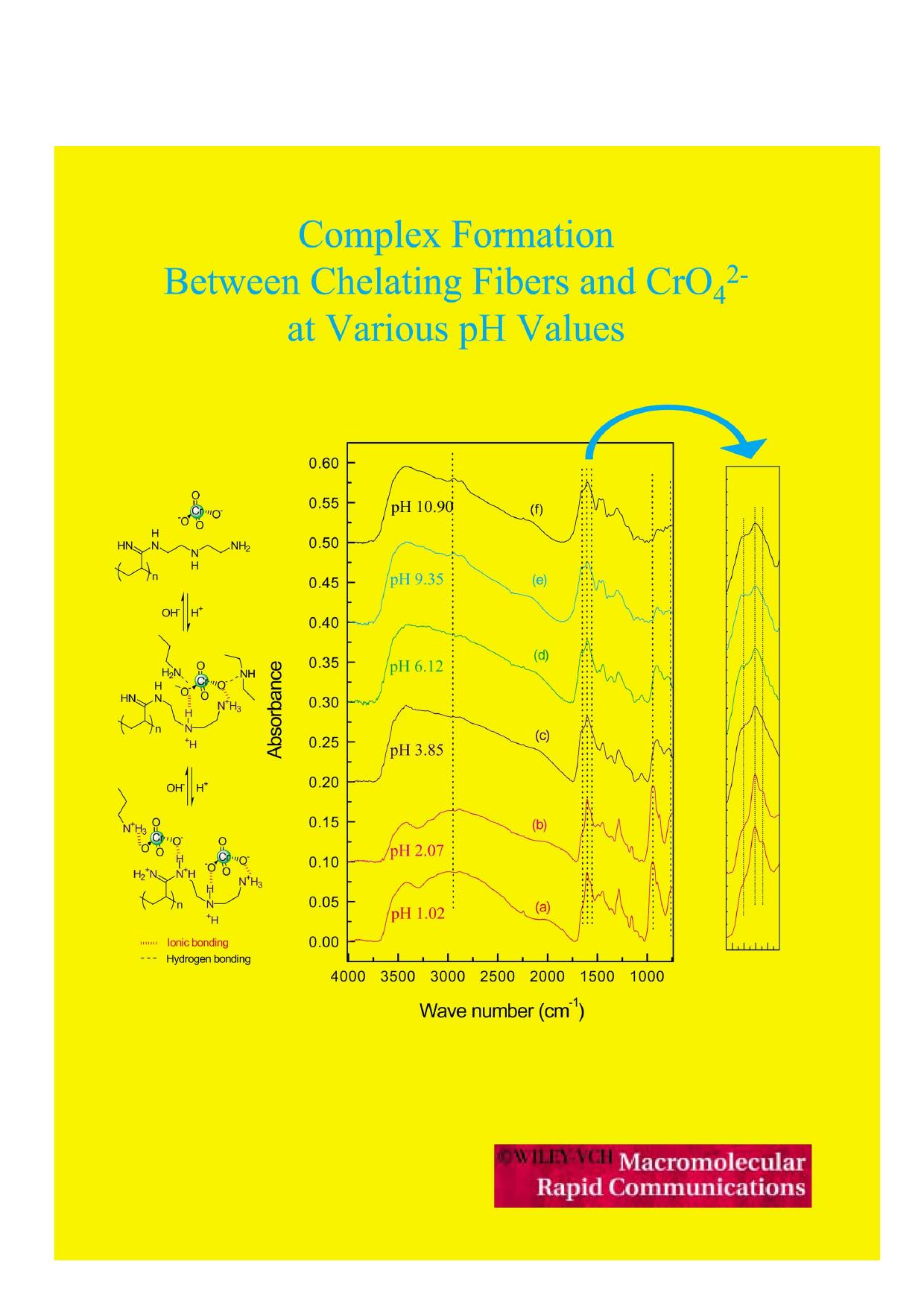 FT-IR and Isotherm Study on Anion Adsorption onto Novel Chelating Fibers by Unknown