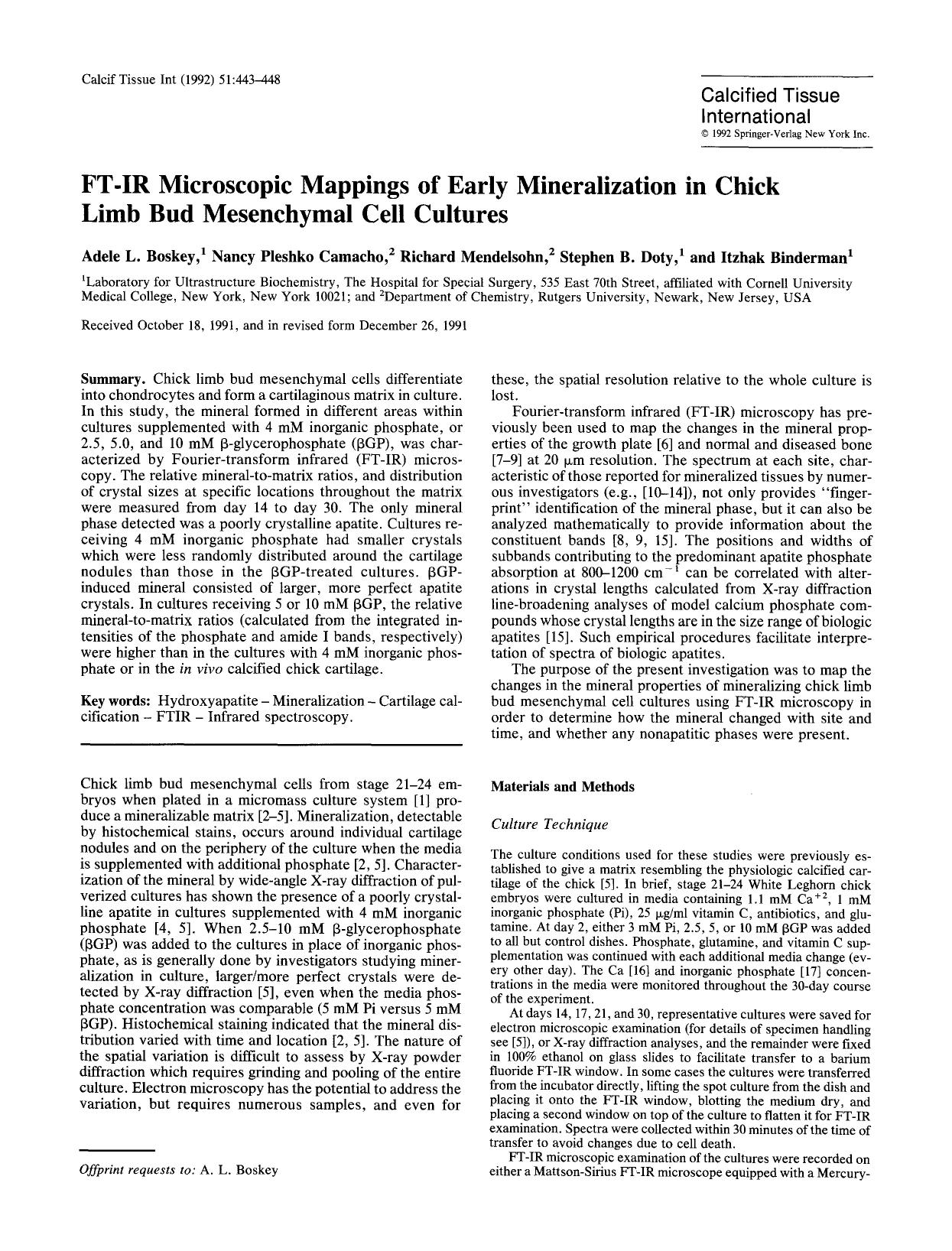 FT-IR microscopic mappings of early mineralization in chick limb bud mesenchymal cell cultures by Unknown