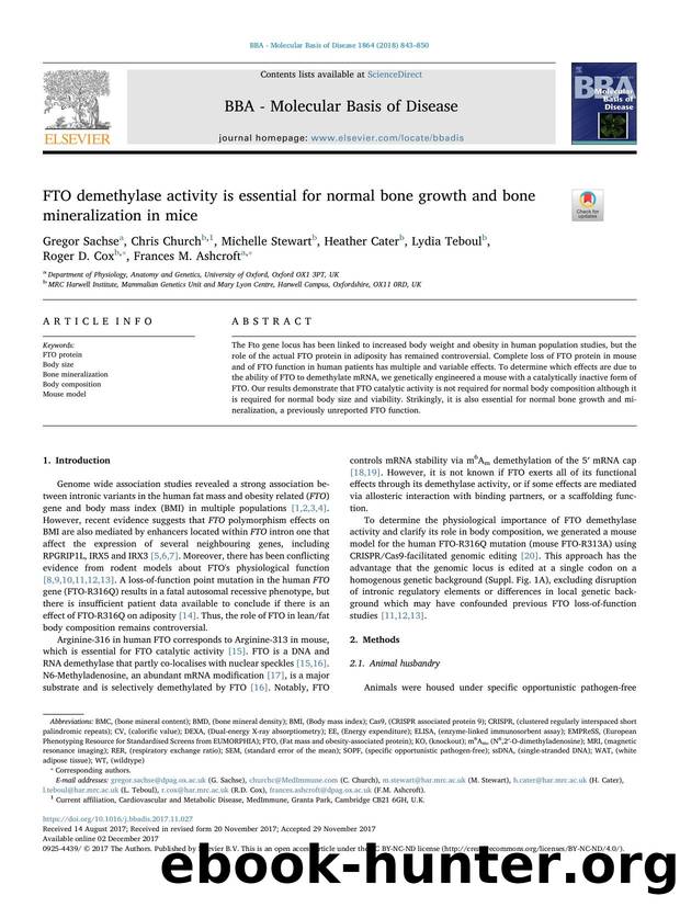 FTO demethylase activity is essential for normal bone growth and bone mineralization in mice by unknow