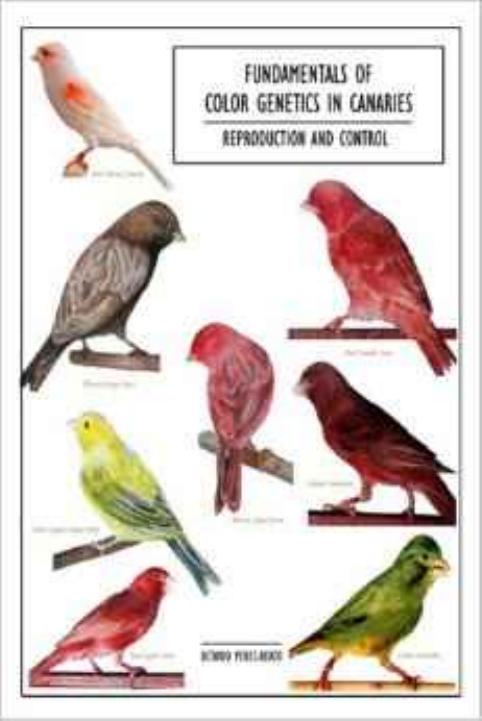 FUNDAMENTALS. OF COLOR GENETICS IN CANARIES. Reproduction and Control by Octavio Perez-Beato