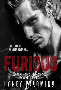 FURIOUS: GODS OF CHAOS MC (BOOK SEVEN) by Honey Palomino