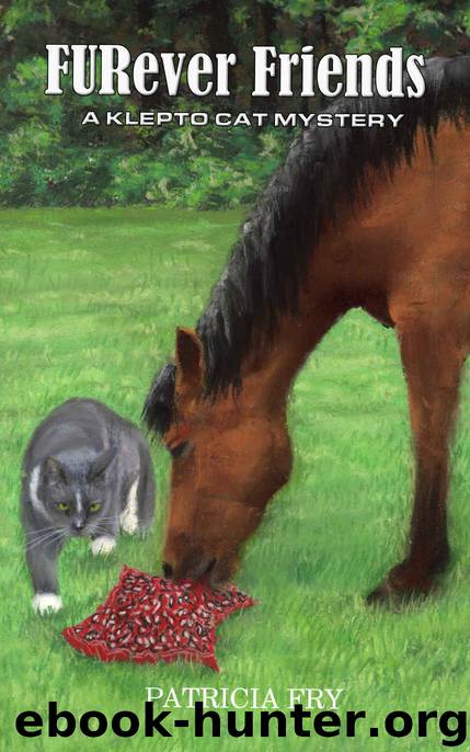 FURever Friends: A Klepto Cat Mystery (Klepto Cat Mysteries Book 34) by Patricia Fry