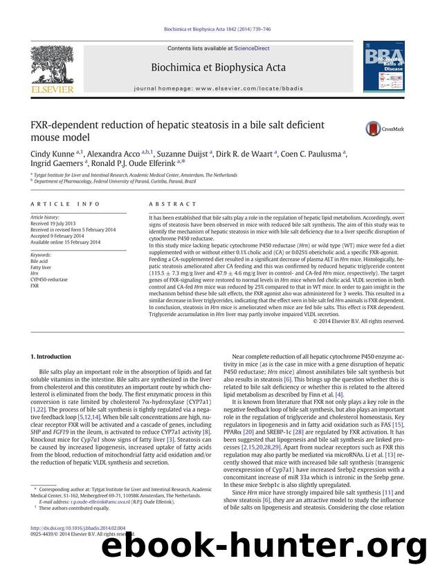 FXR-dependent reduction of hepatic steatosis in a bile salt deficient mouse model by unknow