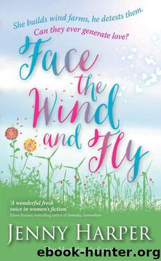 Face The Wind And Fly by Jenny Harper